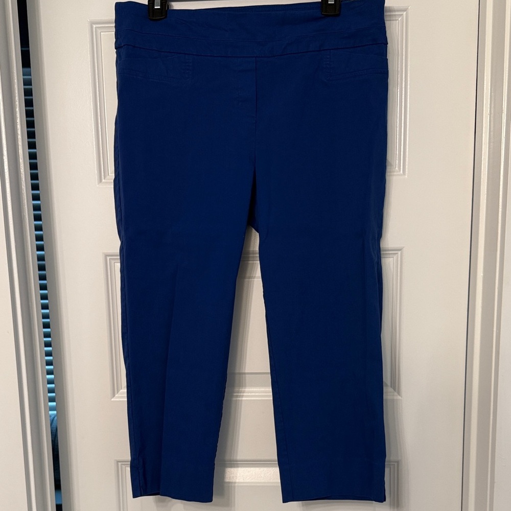 Zac & Rachel Vibrant Blue Capris